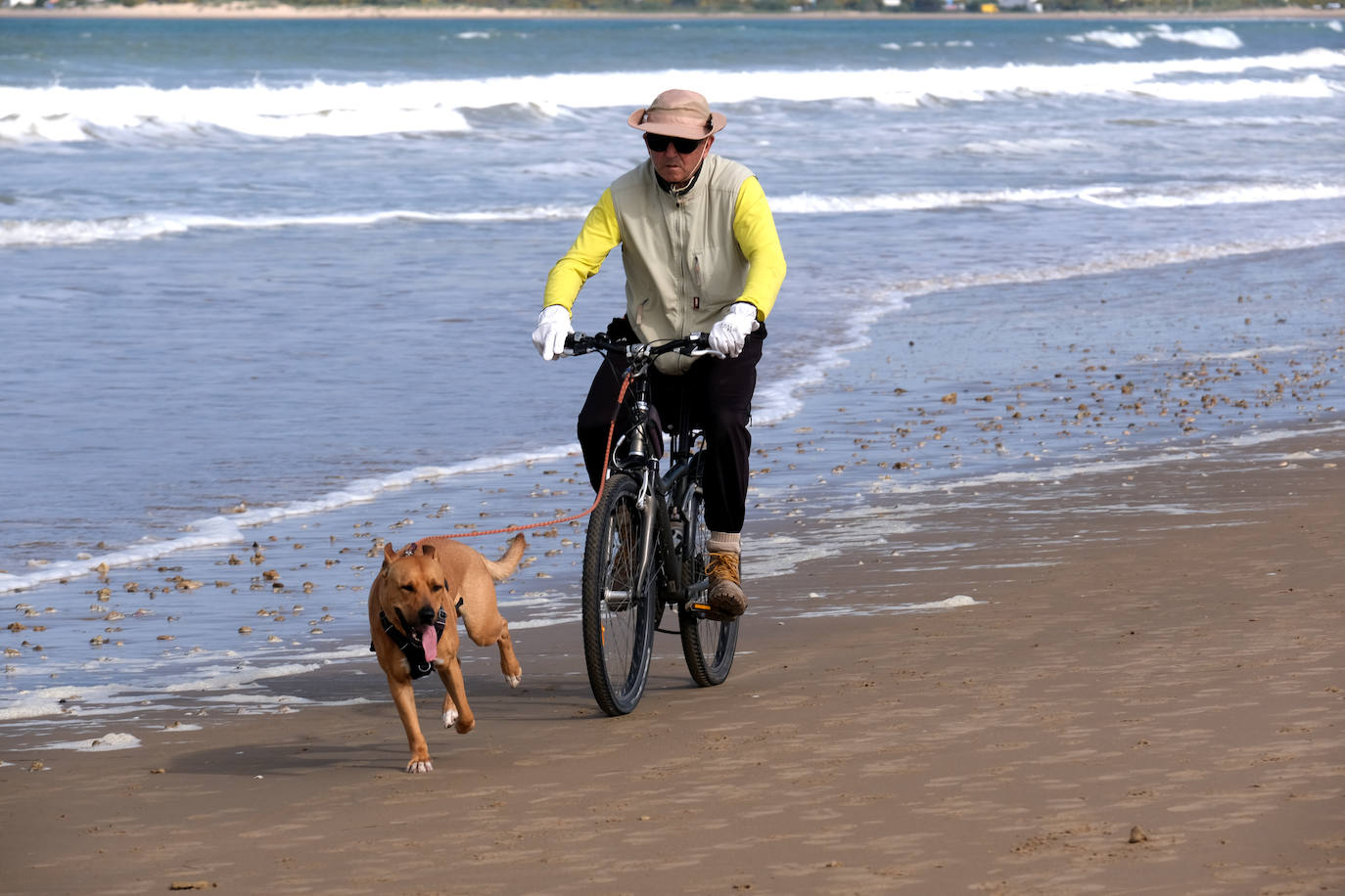 Fotos: Las playas toman protagonismo en Cádiz