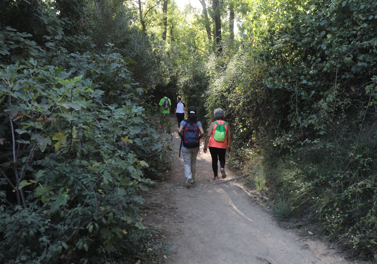 Varias personas realizando el sendero del río Majaceite.