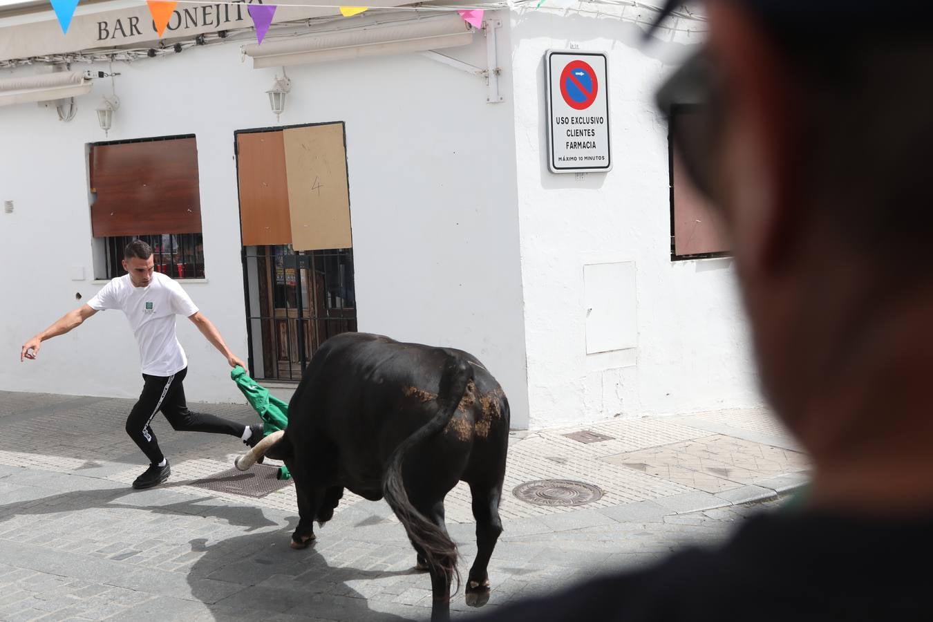 Fotos: Vejer celebra el Toro Embolao
