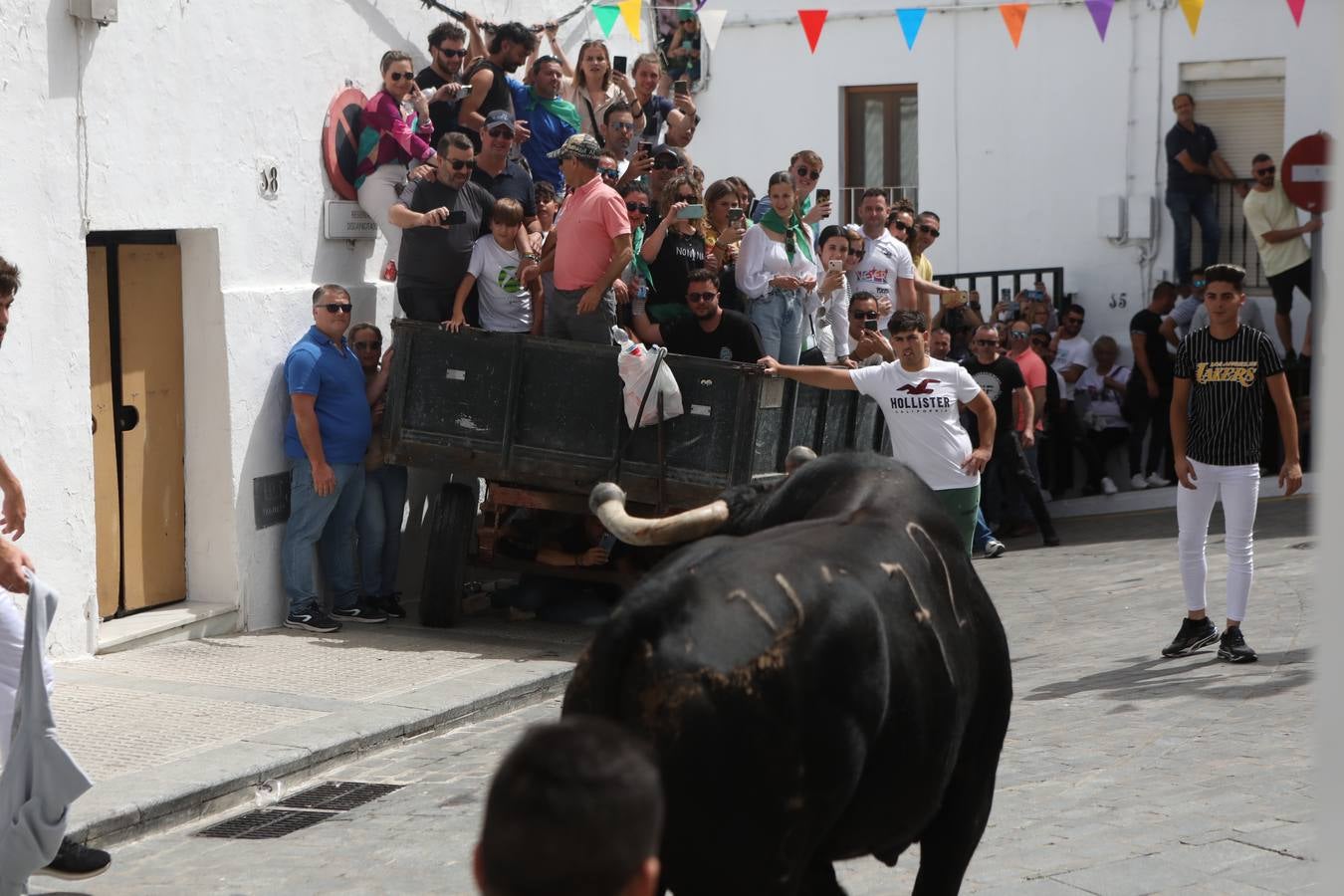 Fotos: Vejer celebra el Toro Embolao