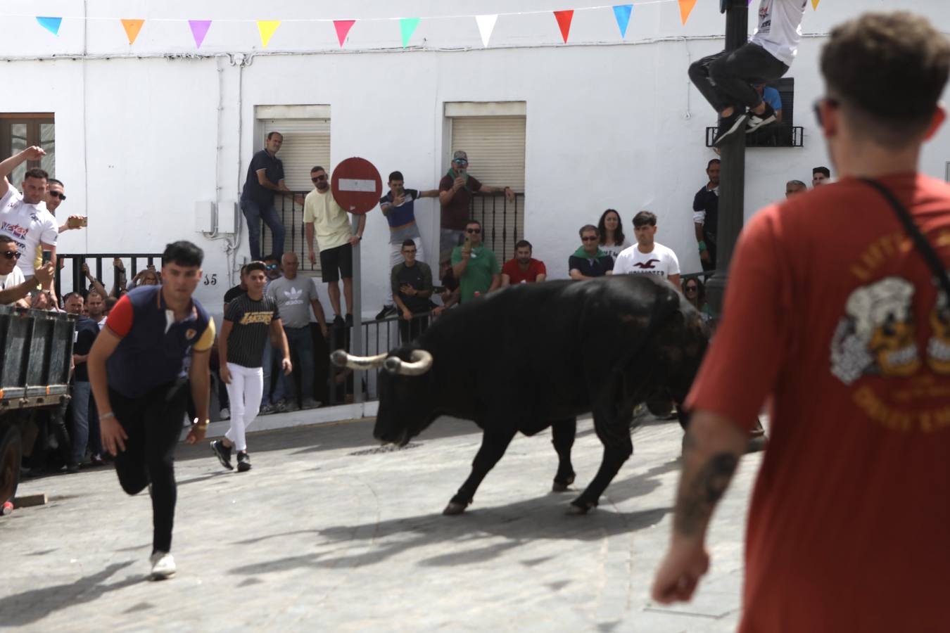 Fotos: Vejer celebra el Toro Embolao