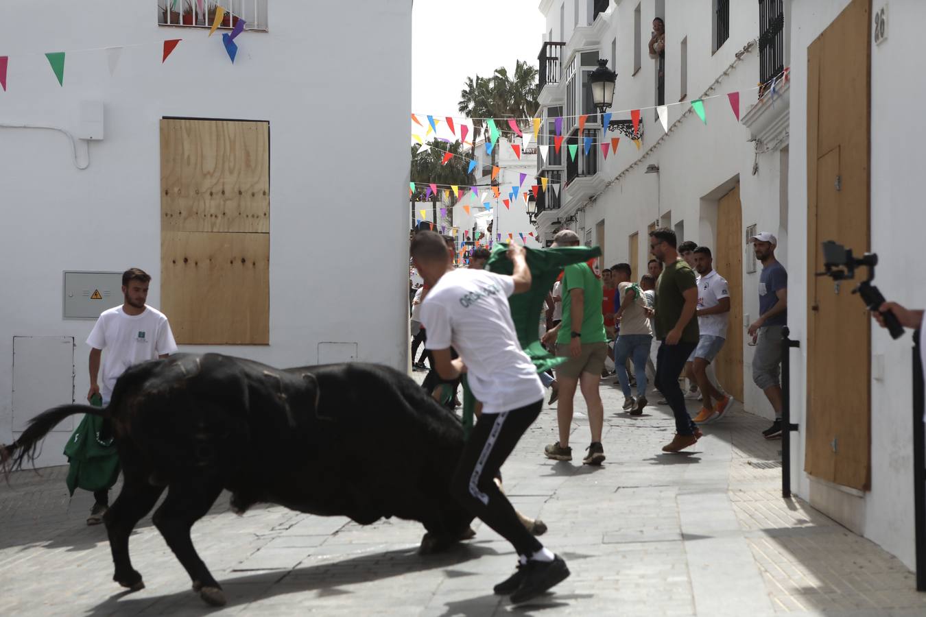 Fotos: Vejer celebra el Toro Embolao