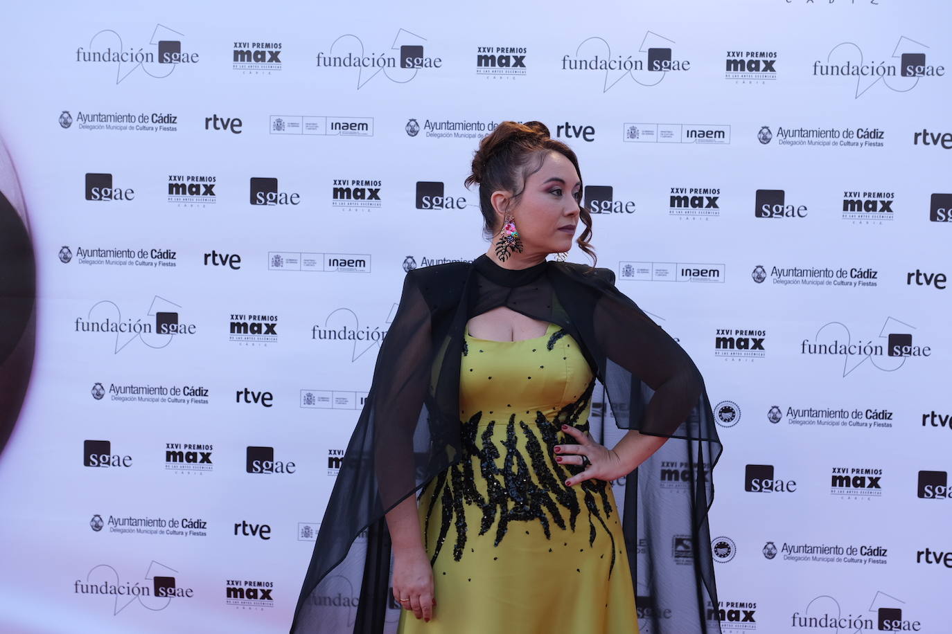 Fotos: La alfombra roja del Gran Teatro Falla