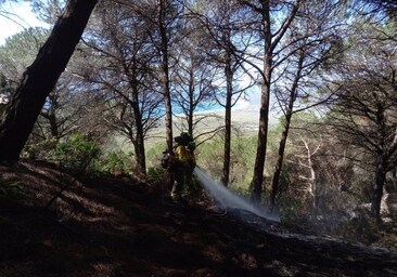 Extinguido el incendio declarado en la Sierra de San Bartolomé, en Tarifa