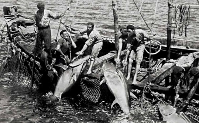 Imagen principal - Copejo de atunes en 1927 y fábrica de conservas del Consorcio Nacional Almadrabero en 1930 y 1968.