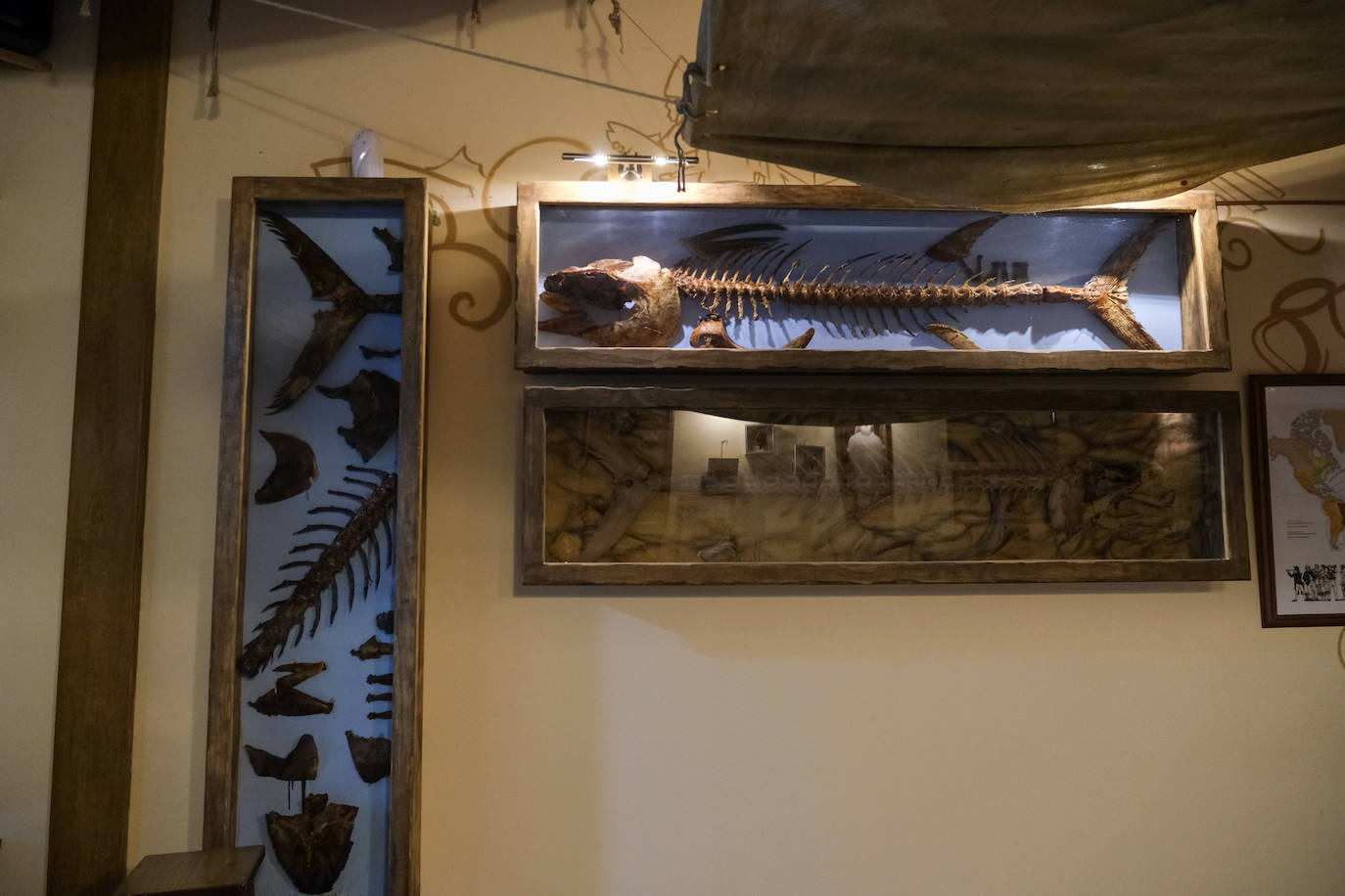 En imágenes: Dentro del Museo del Atún