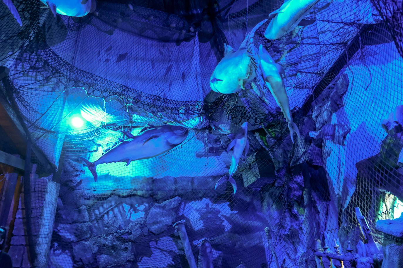 En imágenes: Dentro del Museo del Atún