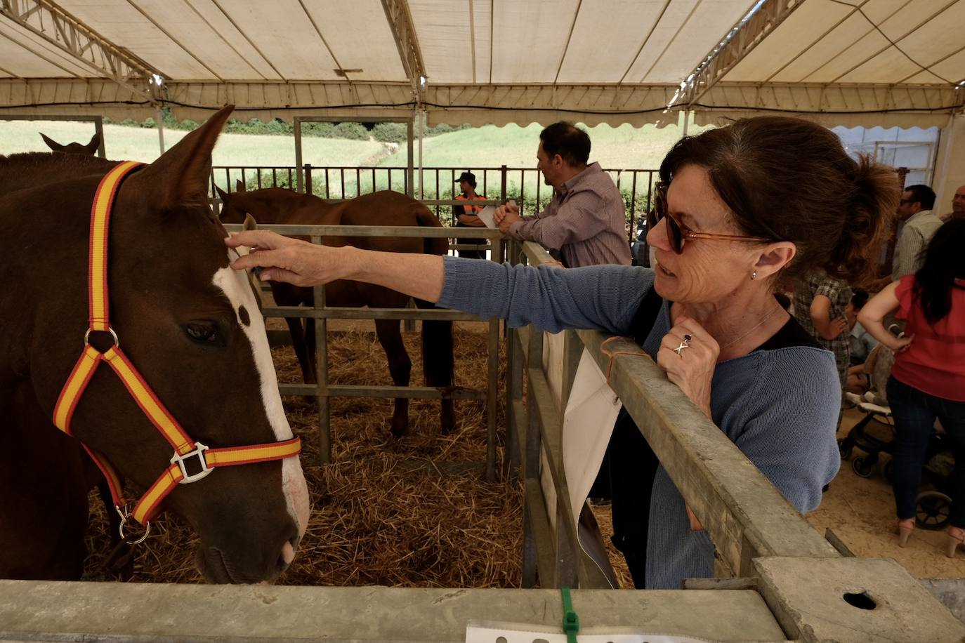 Fotos: La feria de Vejer se despide con un domingo redondo