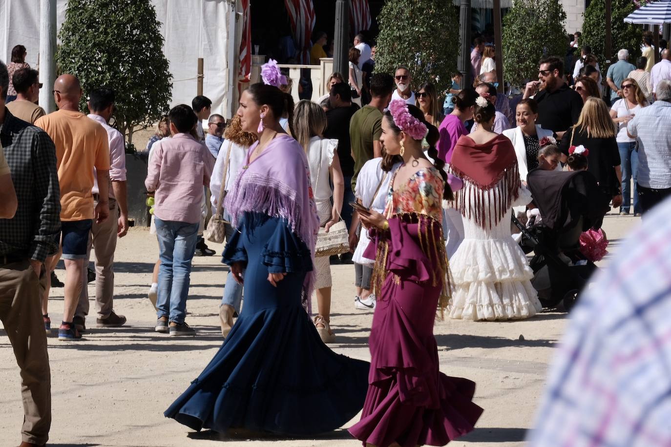 Fotos: La feria de Vejer se despide con un domingo redondo