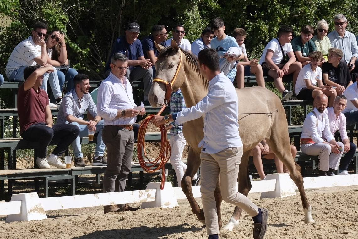 Fotos: La feria de Vejer se despide con un domingo redondo