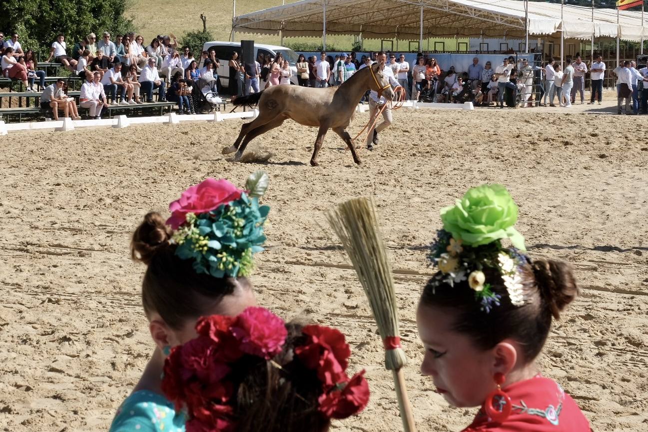 Fotos: La feria de Vejer se despide con un domingo redondo