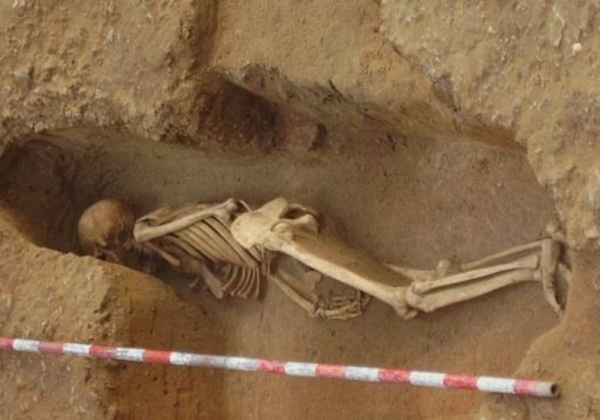 Confirman por primera vez el origen fenicio de cinco individuos enterrados y localizados en Cádiz