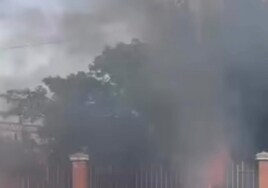 Incendio en El Puerto causado por el pasto