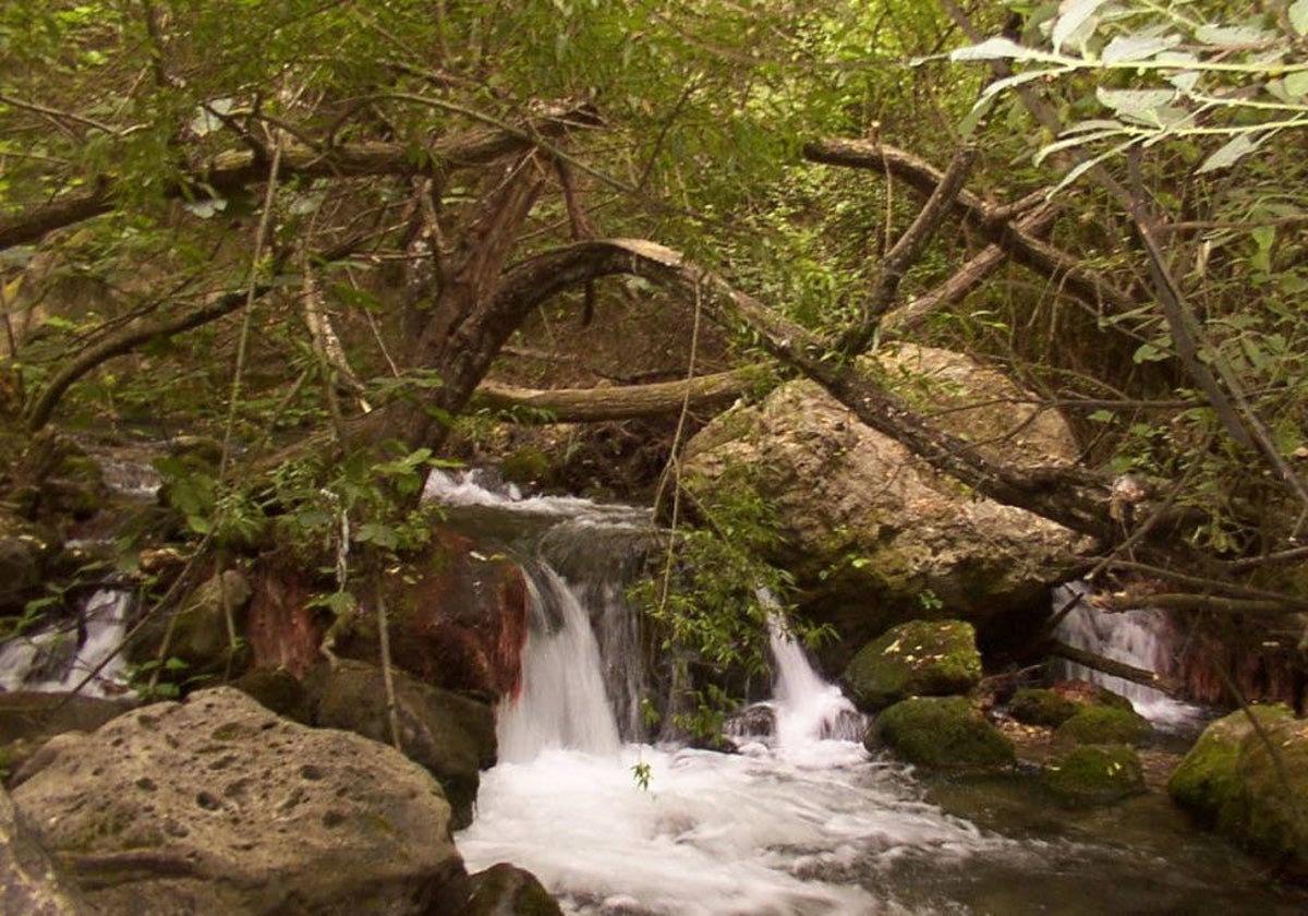 Rio majaceite, el bosque, cádiz, espanha