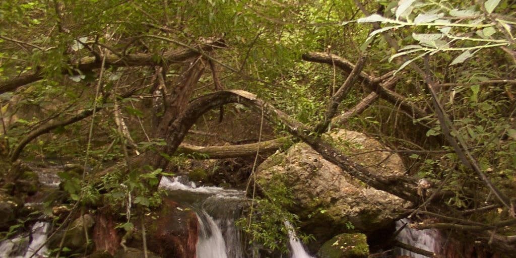 Rio majaceite, el bosque, cádiz, espanha