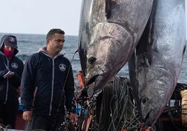 Historia de una levantá en Conil : «Es una barbaridad la cantidad de atún rojo que hay; ya hemos tenido que soltar pescado»