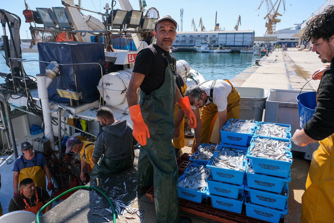 En imágenes: 24 horas en el corazón portuario de Cádiz