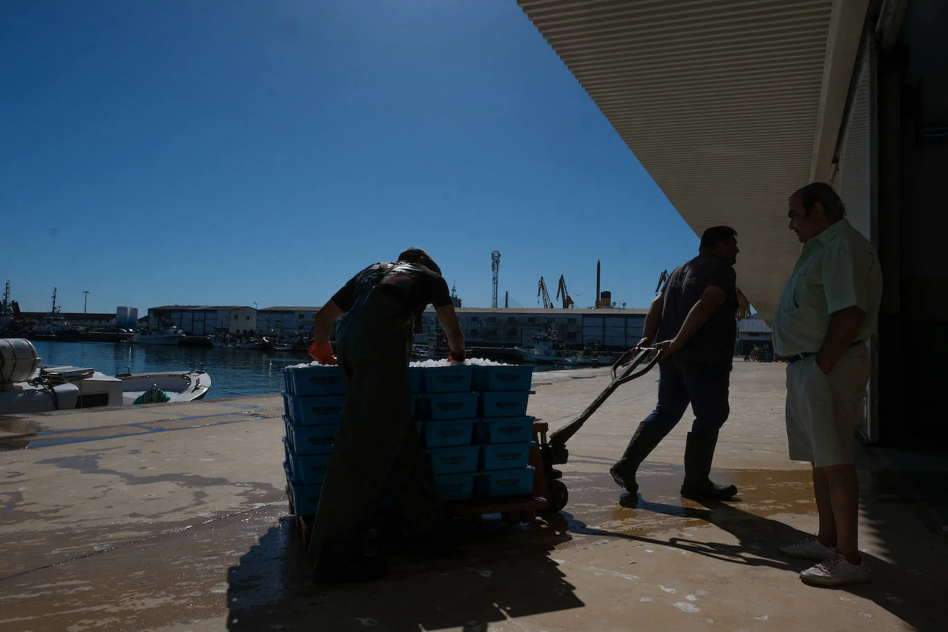 En imágenes: 24 horas en el corazón portuario de Cádiz
