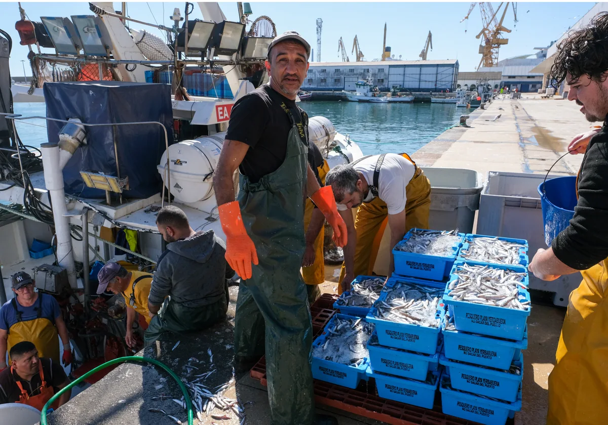 Uno de los pescadores descarga la mercancía en la lonja de Cádiz.