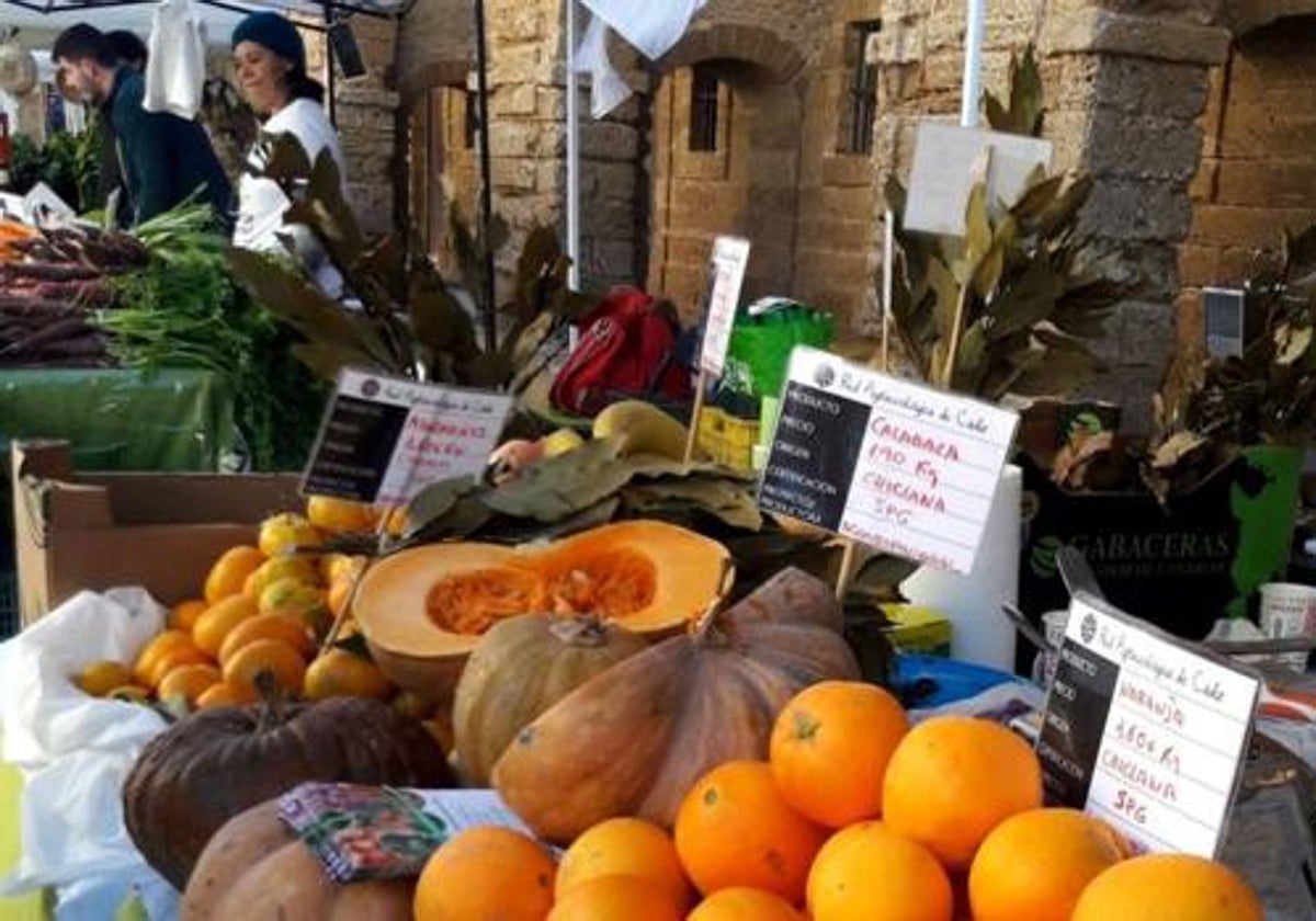 Ecomercado en la plaza Mina de Cádiz con actividades y juegos infantiles