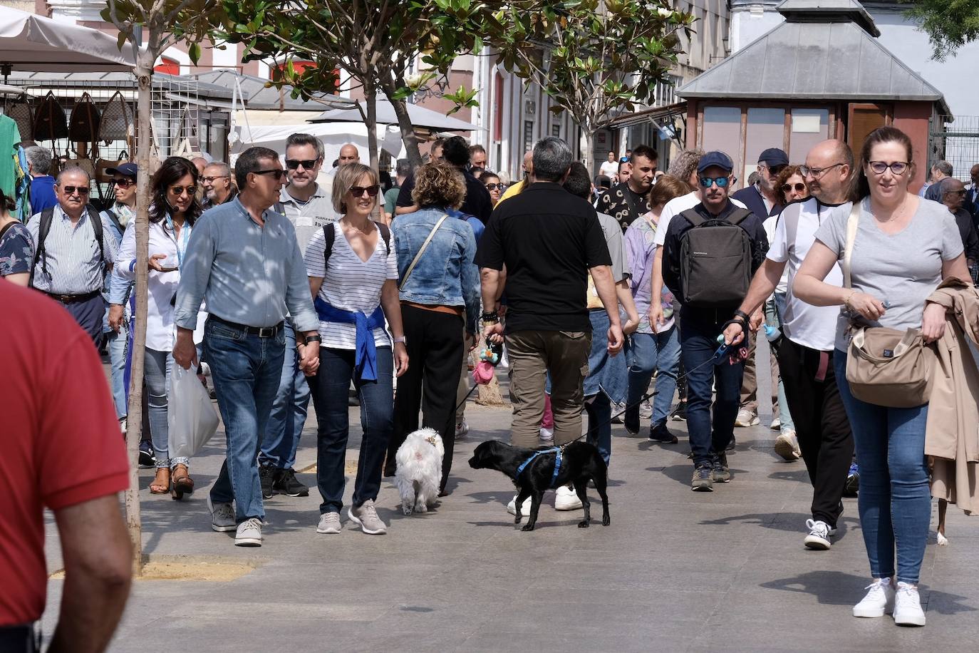 Fotos: Así vive Cádiz la jornada de reflexión