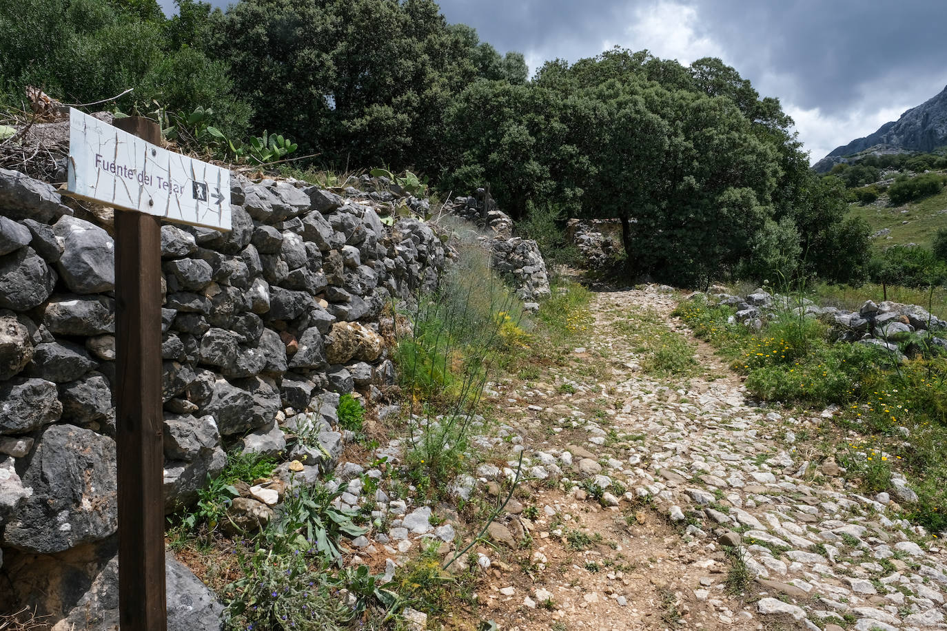 Fotos: Así es el viaje al Benaocaz más hippie