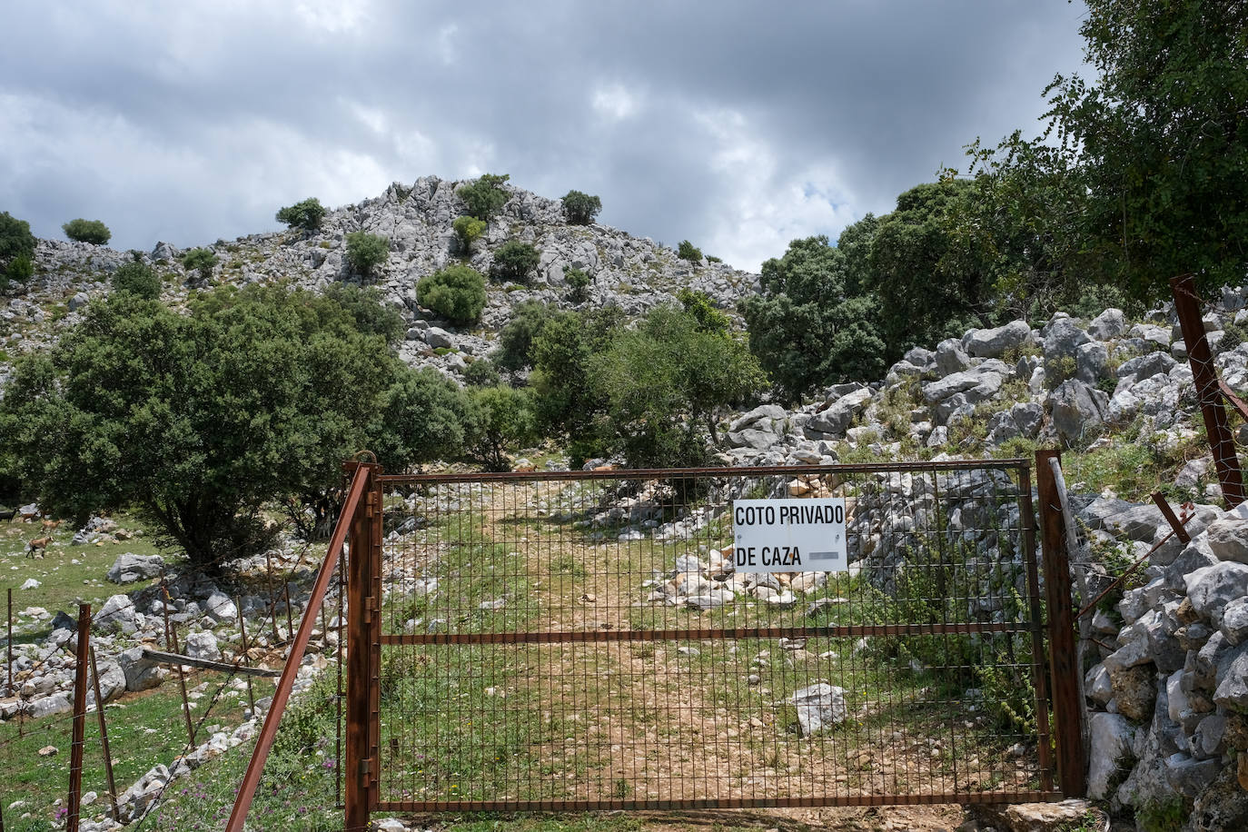 Fotos: Así es el viaje al Benaocaz más hippie