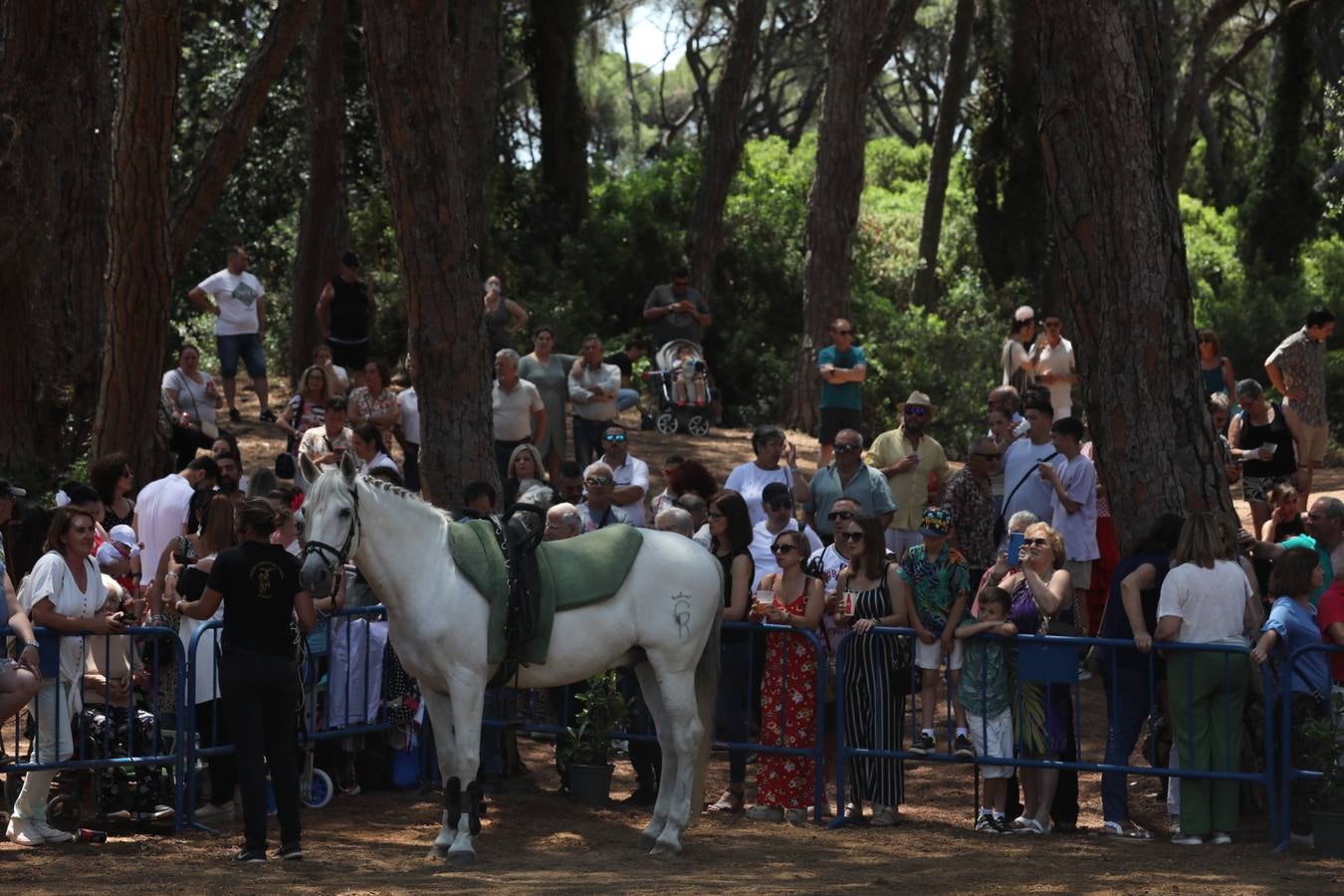 Fotos: Gran domingo de feria en Puerto Real