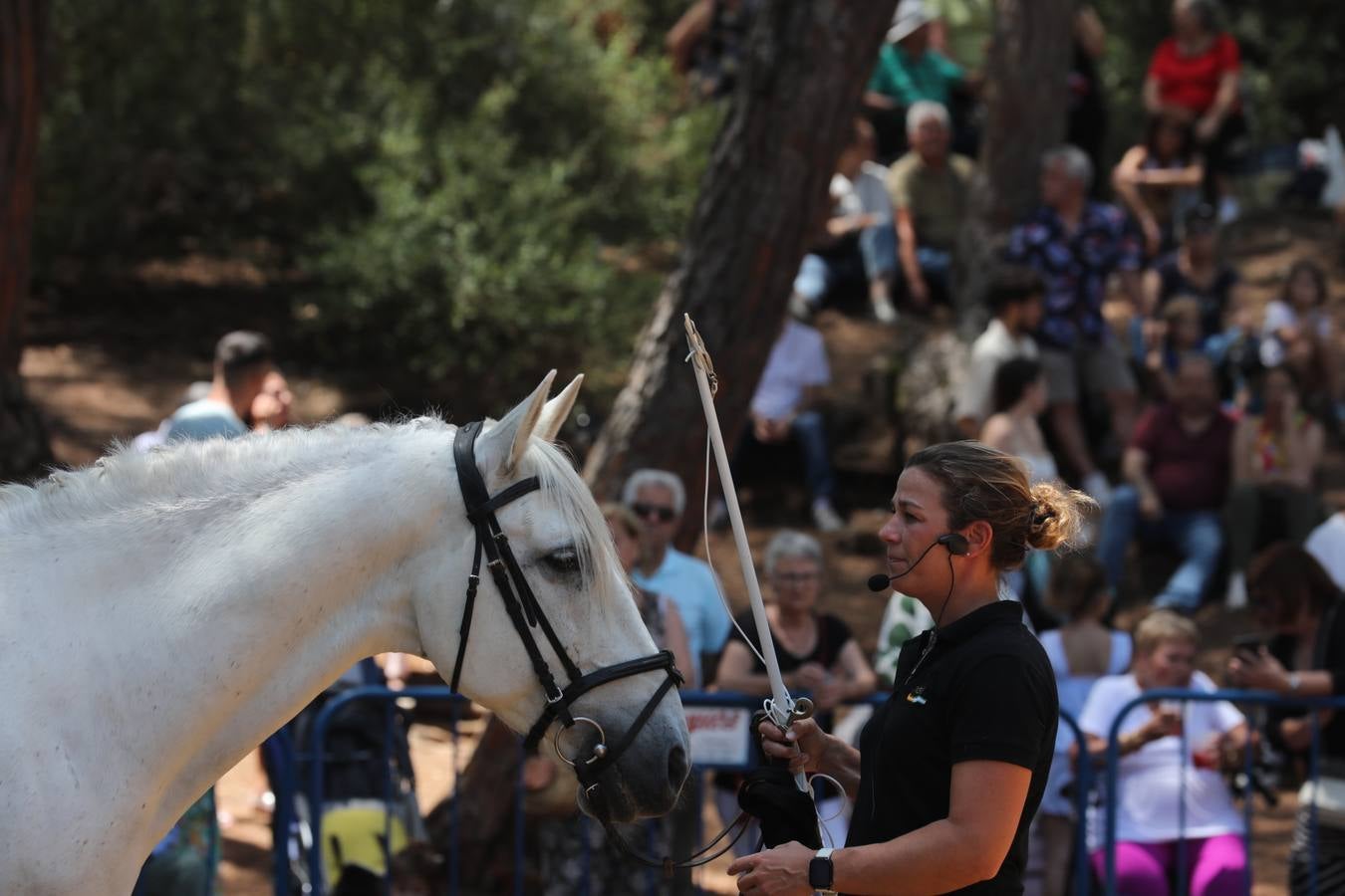 Fotos: Gran domingo de feria en Puerto Real