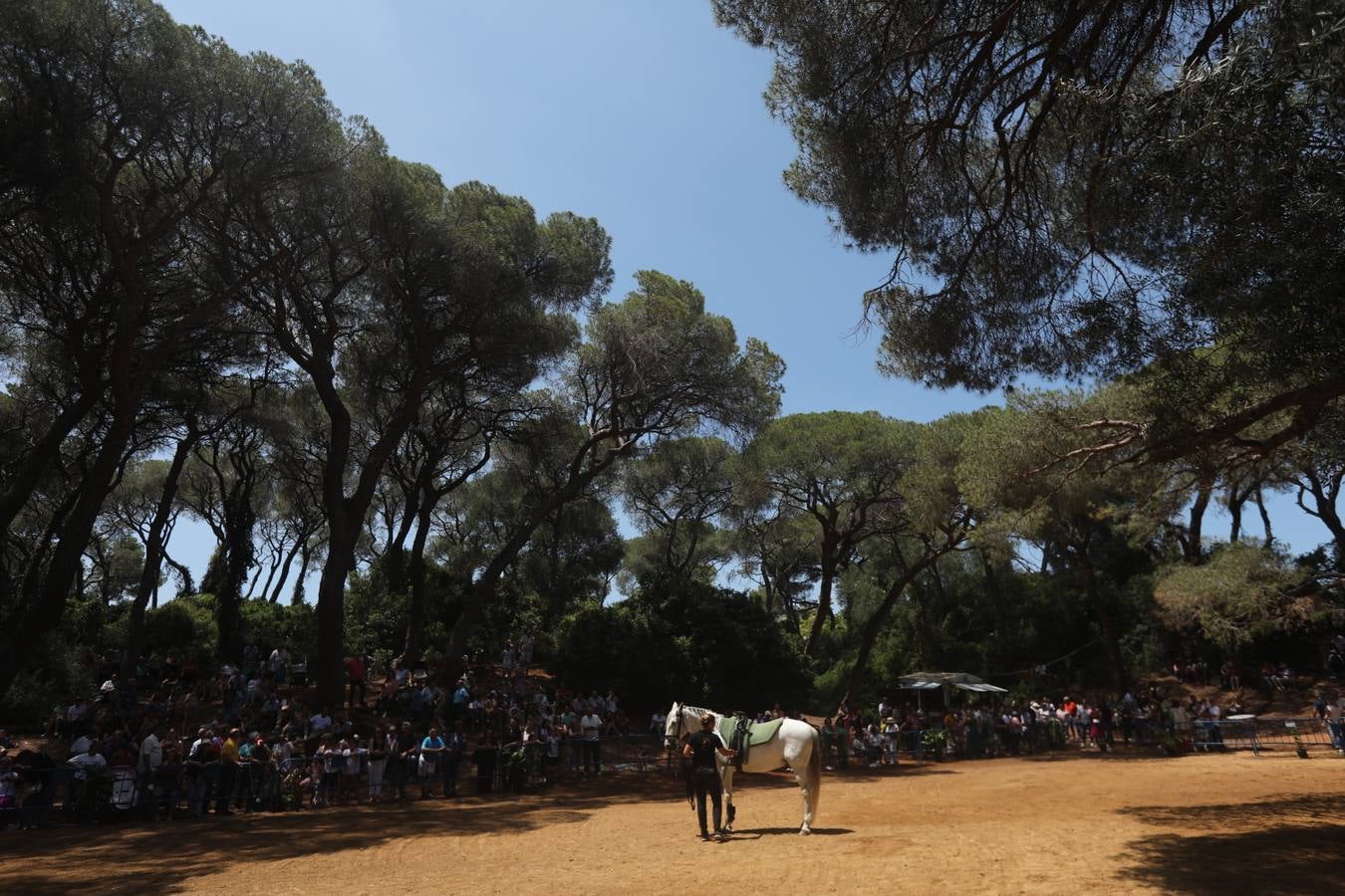 Fotos: Gran domingo de feria en Puerto Real