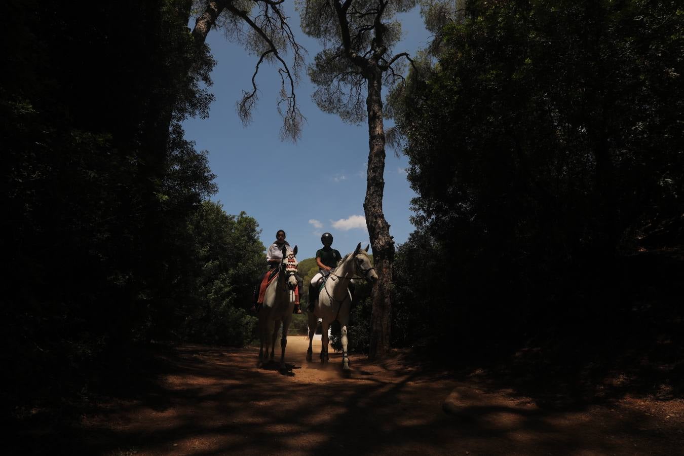 Fotos: Gran domingo de feria en Puerto Real