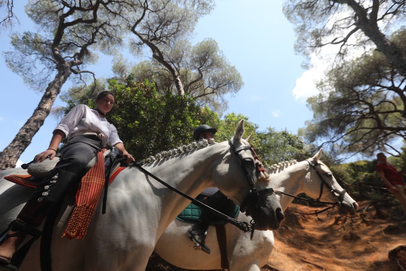 Fotos: Gran domingo de feria en Puerto Real