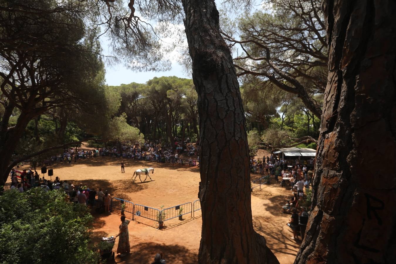 Fotos: Gran domingo de feria en Puerto Real