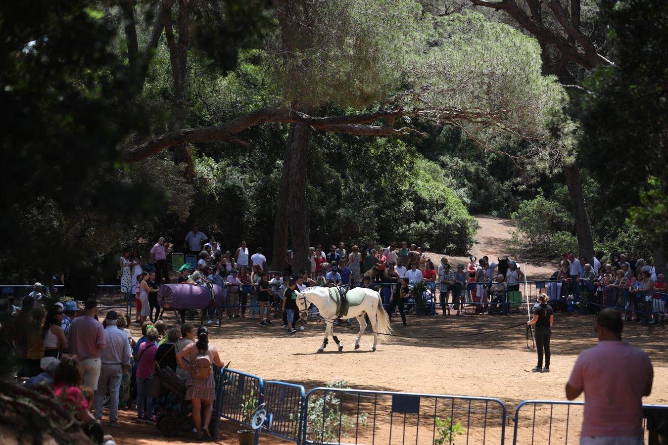 Fotos: Gran domingo de feria en Puerto Real