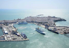 El Puerto de Cádiz promociona su capacidad para cargas especiales