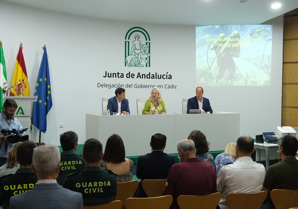 Comité asesor del Plan Infoca, reunido en Cádiz.