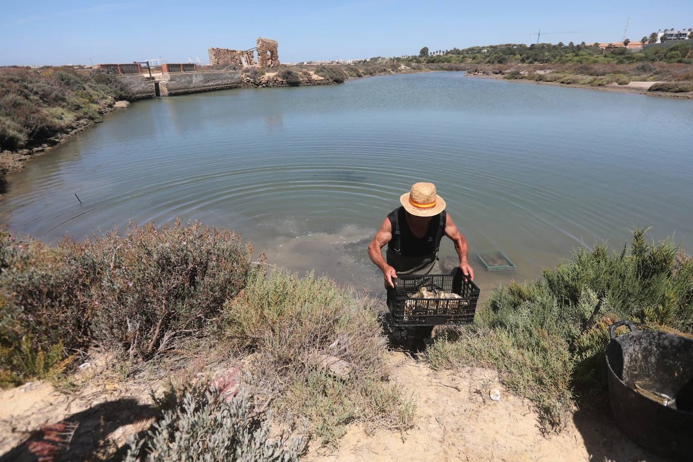 Fotos: Recuperadas las salinas de Balbanera