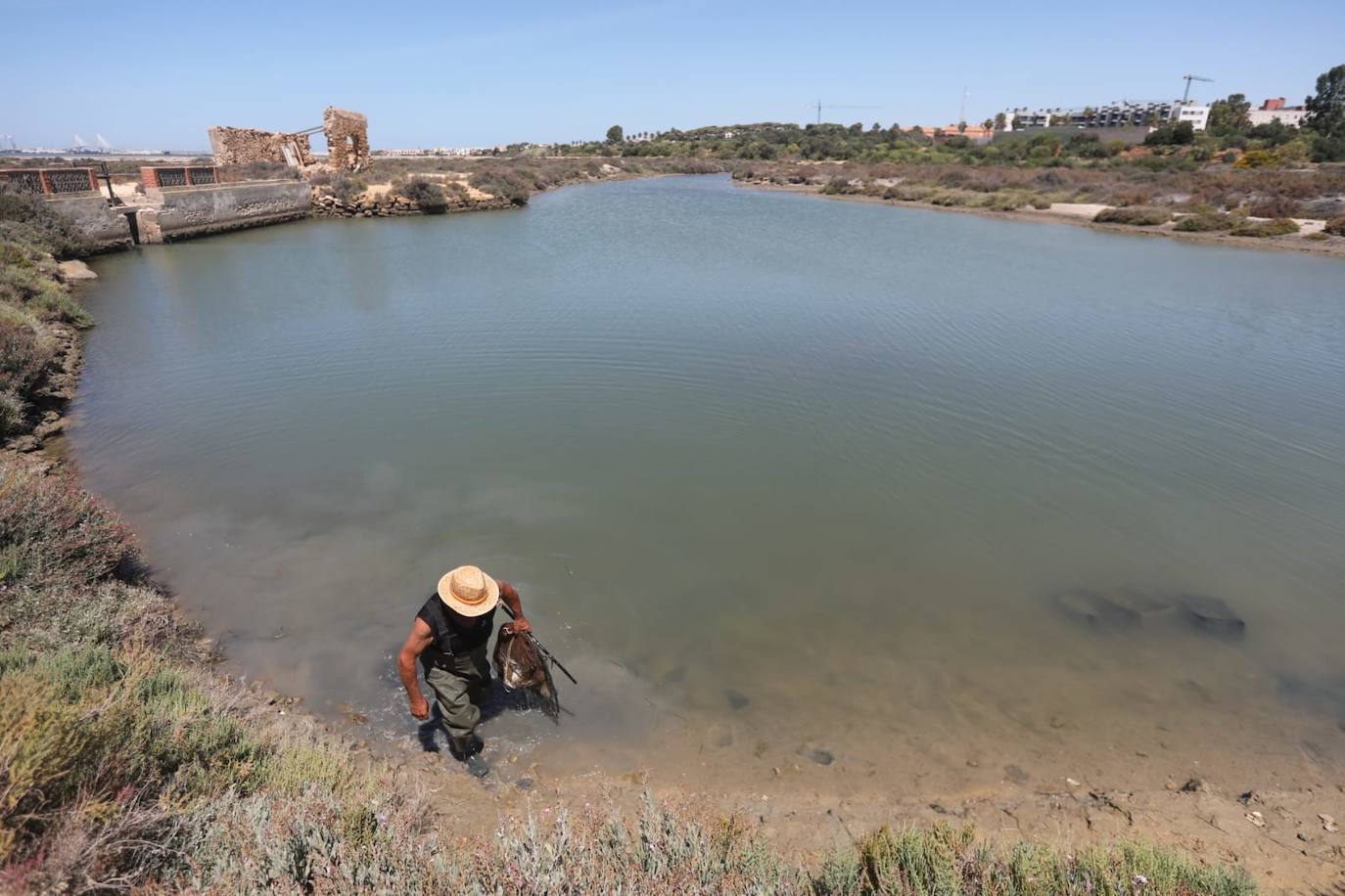 Fotos: Recuperadas las salinas de Balbanera