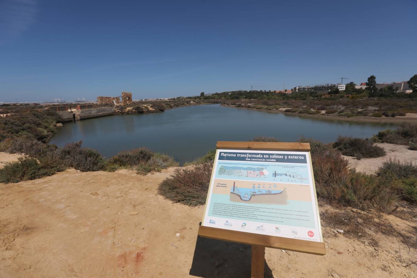 Fotos: Recuperadas las salinas de Balbanera