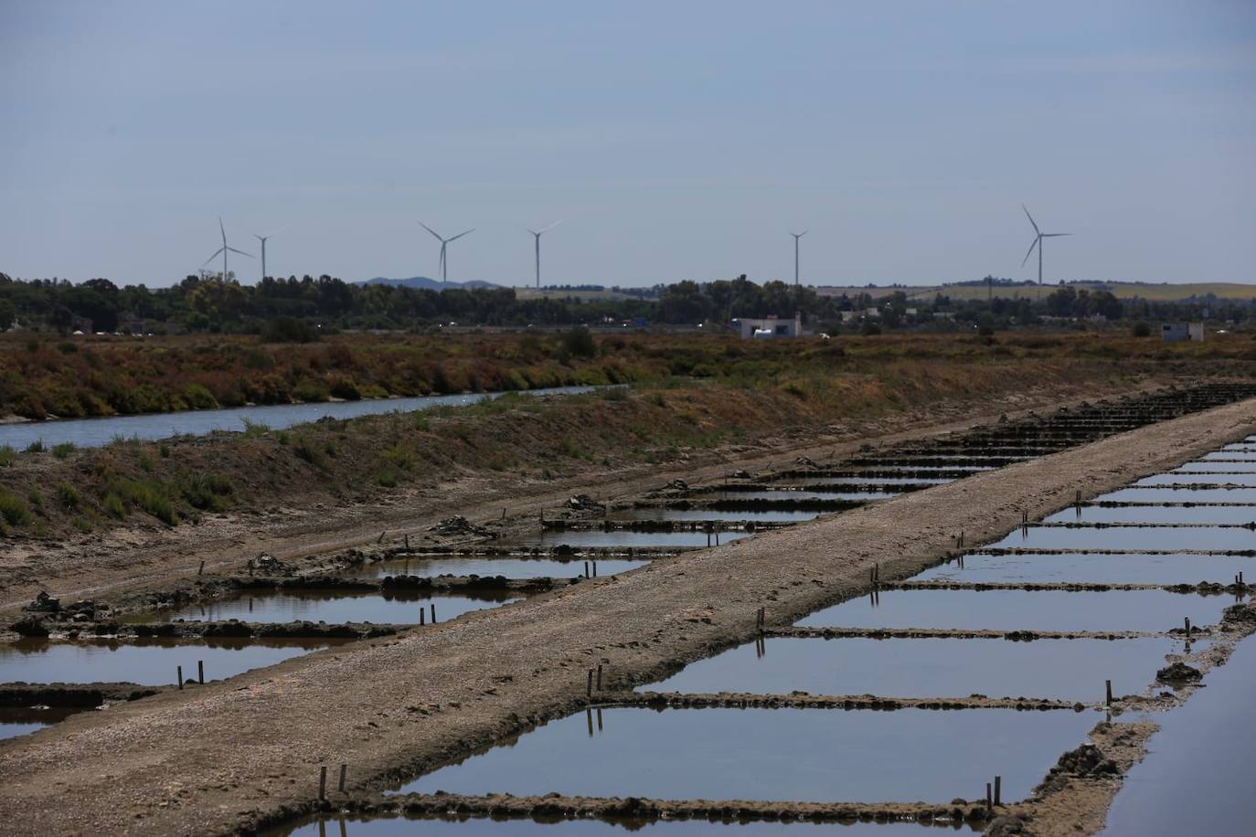 Fotos: Recuperadas las salinas de Balbanera