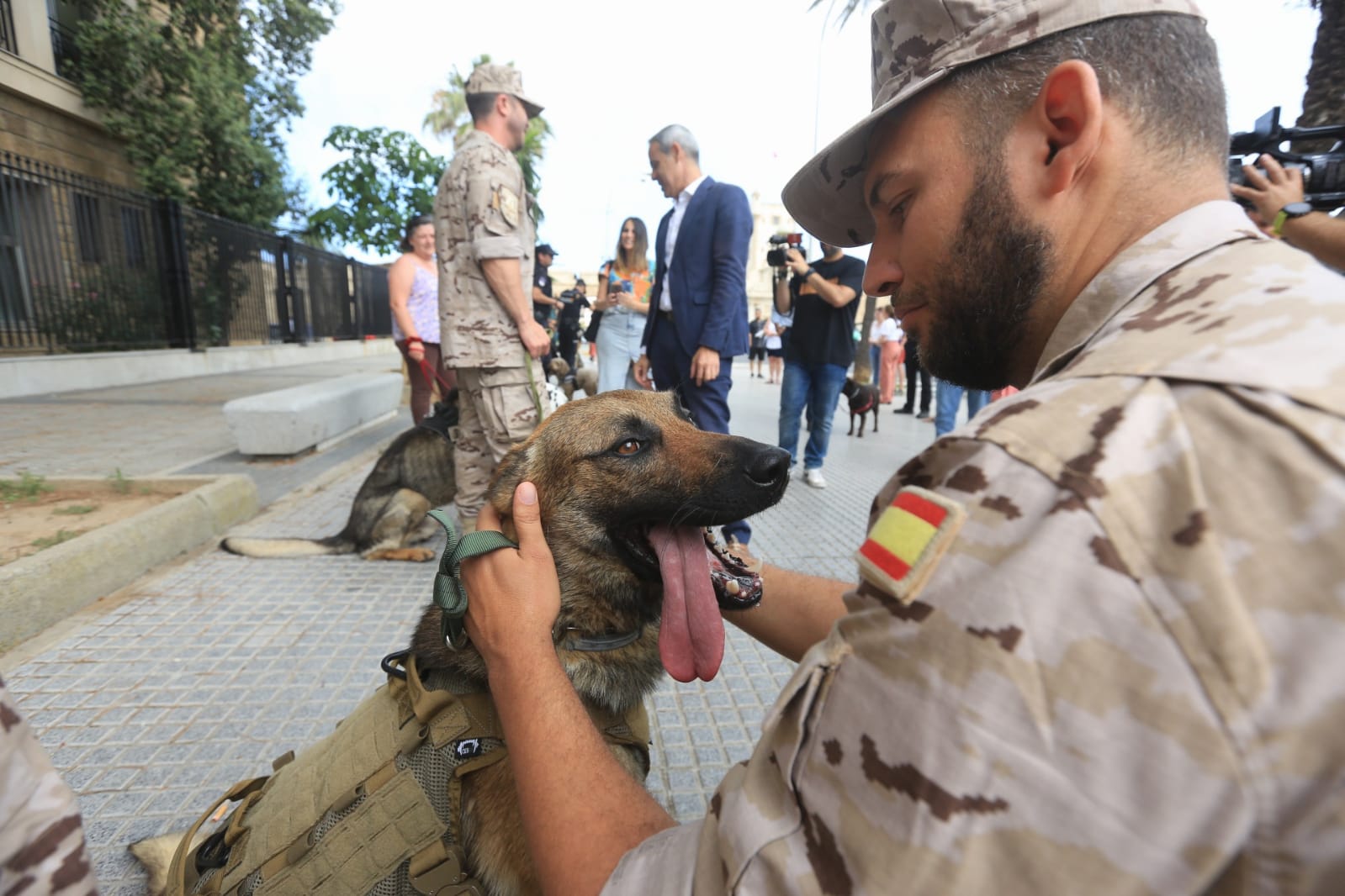 Las imágenes de la campaña de sensibilización para la tenencia responsable de mascotas