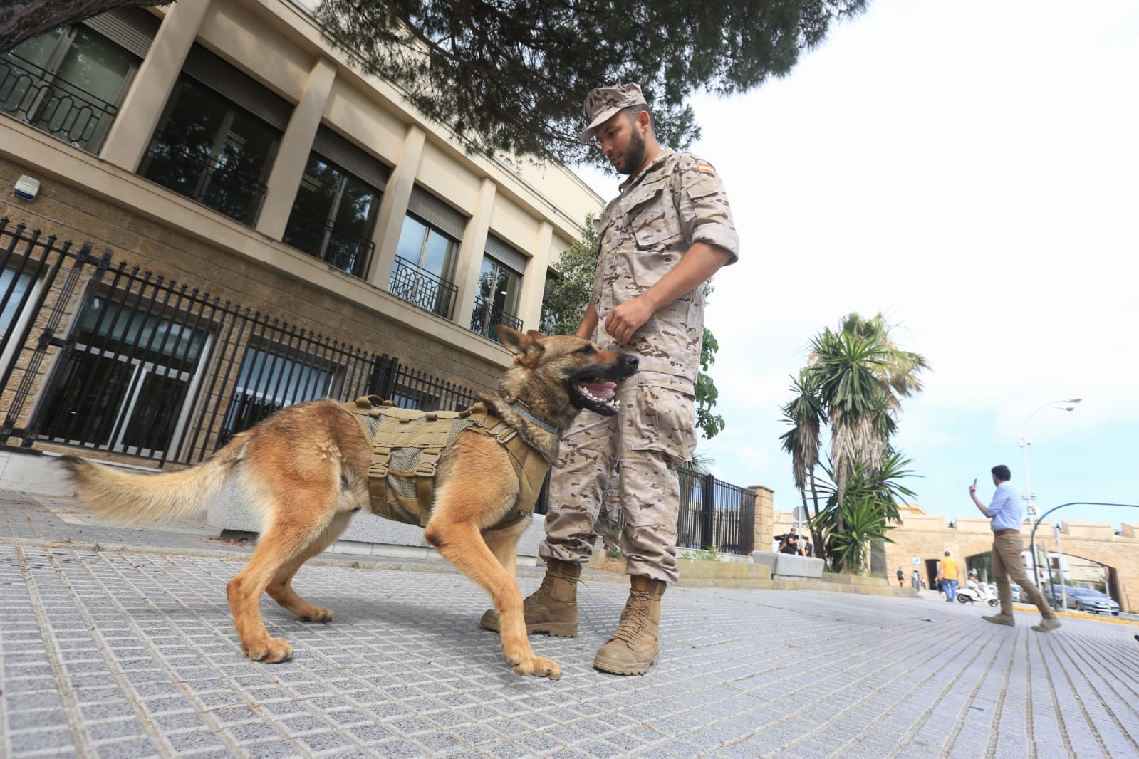 Las imágenes de la campaña de sensibilización para la tenencia responsable de mascotas