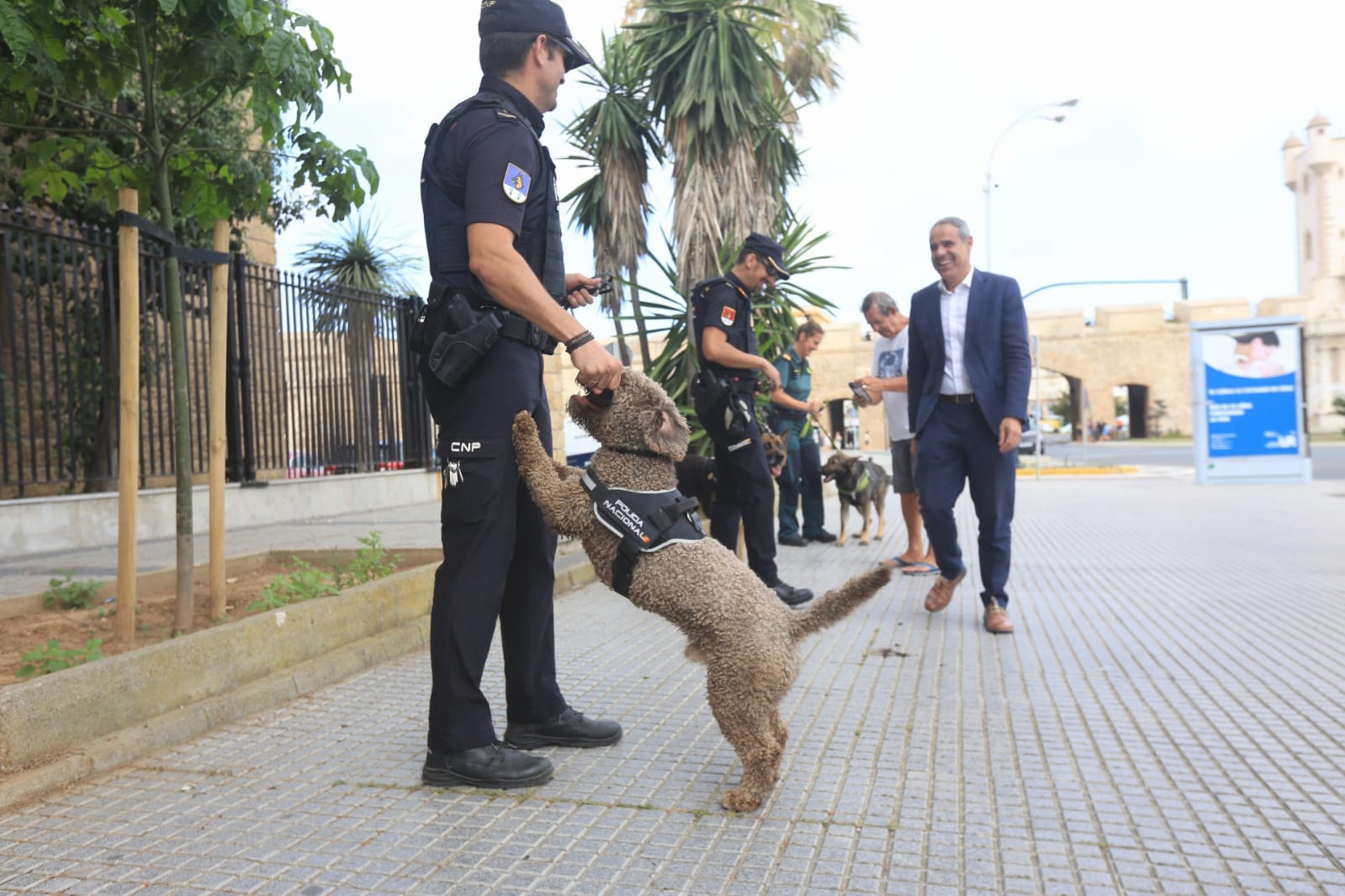 Las imágenes de la campaña de sensibilización para la tenencia responsable de mascotas