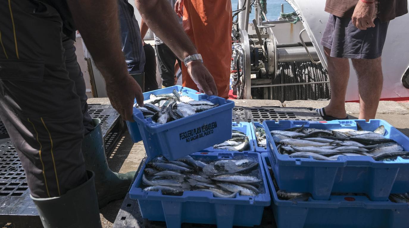 Preocupación en la flota pesquera gaditana