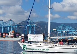 Verdemar pide a la Junta un estudio sobre «muertes por contaminación desde los buques en el Estrecho»