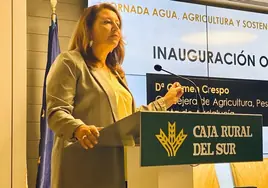 Carmen Crespo pide ejecutar la presa del Gibralmedina para «dar más posibilidades hídricas a la provincia de Cádiz»