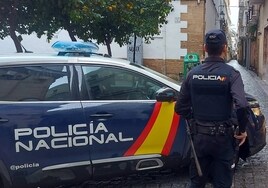 Detenido en Jerez tras intentar robar en una casa escalando por la fachada