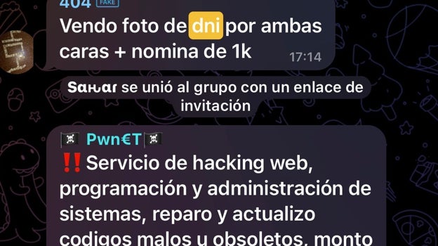 Mensajes que se pueden ver en un chat sobre intercambio de datos confidenciales.