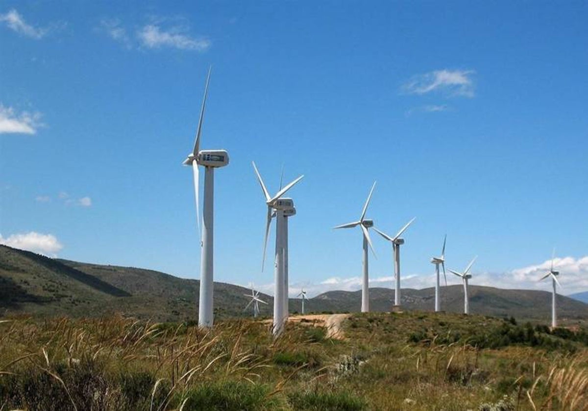 Parque eólico en la provincia de Cádiz