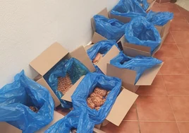 Hasta veinte denuncias a vendedores de pasteles y otros perecederos en las playas de Chiclana